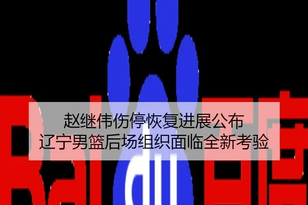赵继伟伤停恢复进展公布 辽宁男篮后场组织面临全新考验